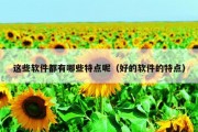 这些软件都有哪些特点呢（好的软件的特点）