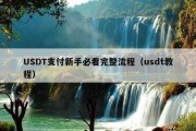 USDT支付新手必看完整流程（usdt教程）