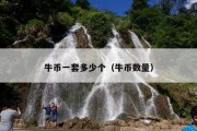 牛币一套多少个（牛币数量）