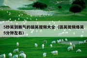5秒笑到断气的搞笑视频大全（搞笑视频爆笑5分钟左右）