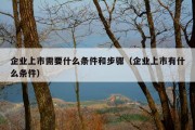 企业上市需要什么条件和步骤（企业上市有什么条件）