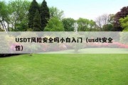 USDT风险安全吗小白入门（usdt安全性）