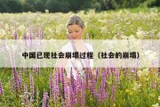 中国已现社会崩塌过程（社会的崩塌）