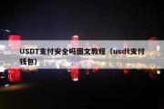 USDT支付安全吗图文教程（usdt支付钱包）