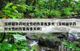 玉婷避孕药对女性的伤害有多大（玉婷避孕药对女性的伤害有多大啊）
