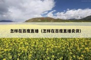 怎样在百度直播（怎样在百度直播卖货）