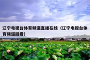 辽宁电视台体育频道直播在线（辽宁电视台体育频道回看）