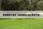 微信赚钱小程序（微信赚钱小程序真实可靠）