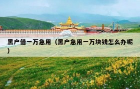 黑户借一万急用（黑户急用一万块钱怎么办呢）