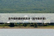选牛股的最好的方法（选牛股步骤）