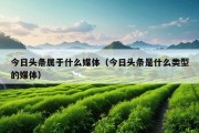 今日头条属于什么媒体（今日头条是什么类型的媒体）