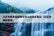 小红书美食短视频引流小白成长笔记（小红书爆款美食）