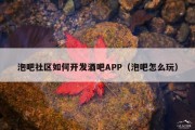 泡吧社区如何开发酒吧APP（泡吧怎么玩）