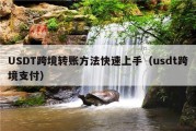 USDT跨境转账方法快速上手（usdt跨境支付）