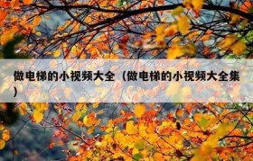 做电梯的小视频大全（做电梯的小视频大全集）