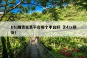 btc期货交易平台哪个平台好（btcs期货）