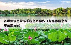 多媒体信息发布系统怎么操作（多媒体信息发布系统app）