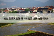 熊出没搞笑的视频（熊出没搞笑的视频素材）