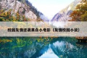 校园友情逆袭黑白小电影（友情校园小说）
