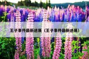 王子事件最新进展（王子事件最新进展）