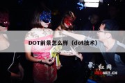 DOT前景怎么样（dot技术）