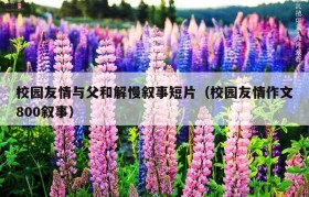 校园友情与父和解慢叙事短片（校园友情作文800叙事）
