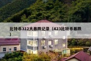比特币312大暴跌记录（423比特币暴跌）