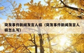 突发事件新闻发言人稿（突发事件新闻发言人稿怎么写）