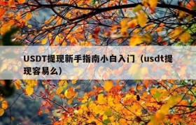 USDT提现新手指南小白入门（usdt提现容易么）