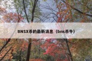 BNSX币的最新消息（bns币牛）