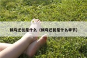候鸟迁徙是什么（候鸟迁徙是什么季节）