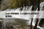 usdm传销骗局（usdj是什么货币是不是传销）