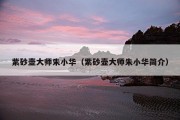 紫砂壶大师朱小华（紫砂壶大师朱小华简介）
