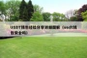 USDT钱包经验分享详细图解（usdt钱包安全吗）