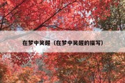在梦中笑醒（在梦中笑醒的描写）