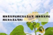 媒体发文评论网红文化怎么写（媒体发文评论网红文化怎么写的）