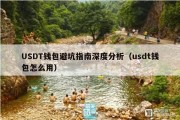 USDT钱包避坑指南深度分析（usdt钱包怎么用）