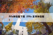 fifa体验服下载（fifa 足球体验服）