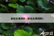 彩虹头像简约（彩虹头像招财）