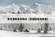 支付宝购买狗狗币（然后购买狗狗币）