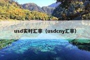 usd实时汇率（usdcny汇率）
