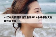 小红书风校园亲情治愈系4K（小红书甜文推荐校园青春）