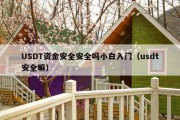 USDT资金安全安全吗小白入门（usdt安全嘛）