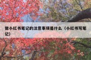 做小红书笔记的注意事项是什么（小红书写笔记）