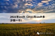 2021年usdt（2021年usdt多少钱一个）