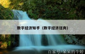 数字经济知乎（数字经济狂奔）