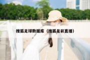 搜狐足球数据库（搜狐足彩直播）