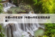中国vs印尼足球（中国vs印尼足球历史战绩）