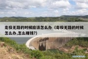 走投无路的时候应该怎么办（走投无路的时候怎么办,怎么赚钱?）