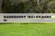 搬运视频侵权吗知乎（搬运小视频,侵犯版权吗）